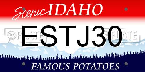 ESTJ30 Idaho License Plate