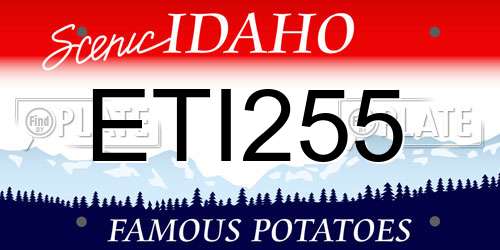 ETI255 Idaho License Plate