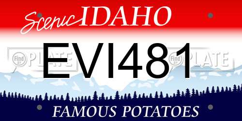 EVI481 Idaho License Plate