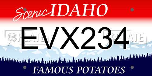 EVX234 Idaho License Plate