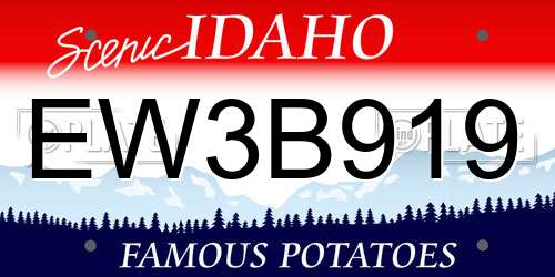 EW3B919 Idaho License Plate