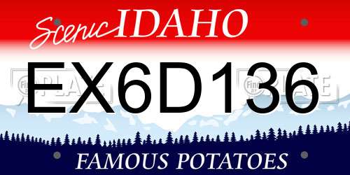 EX6D136 Idaho License Plate