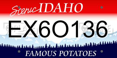 EX6O136 Idaho License Plate