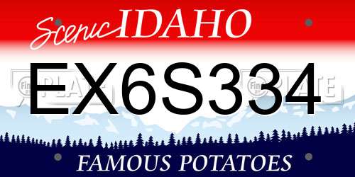 EX6S334 Idaho License Plate