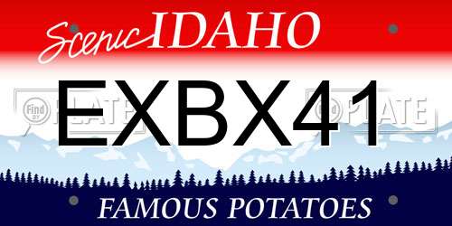 EXBX41 Idaho License Plate