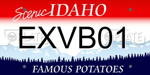 EXVB01 Idaho License Plate