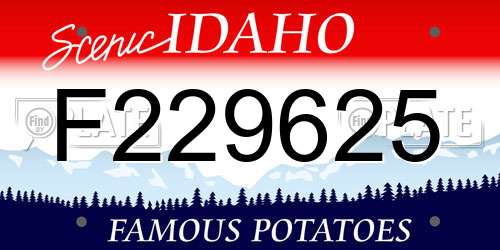 F229625 Idaho License Plate