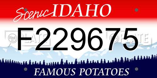 F229675 Idaho License Plate