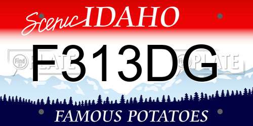 F313DG Idaho License Plate
