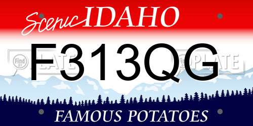 F313QG Idaho License Plate