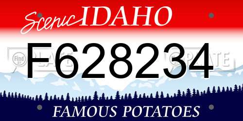 F628234 Idaho License Plate