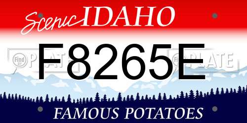 F8265E Idaho License Plate