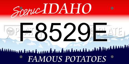 F8529E Idaho License Plate
