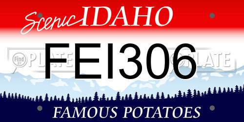 FEI306 Idaho License Plate