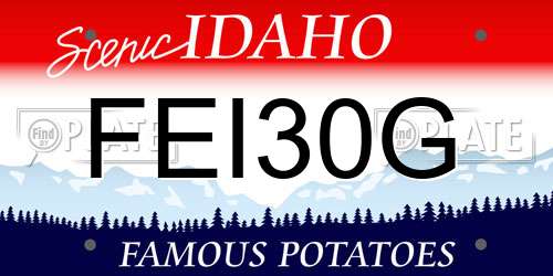 FEI30G Idaho License Plate