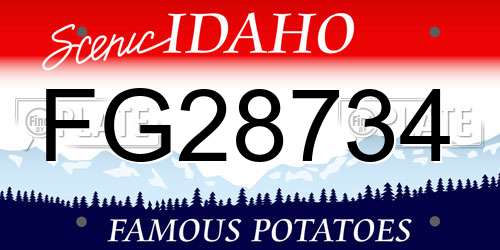 FG28734 Idaho License Plate