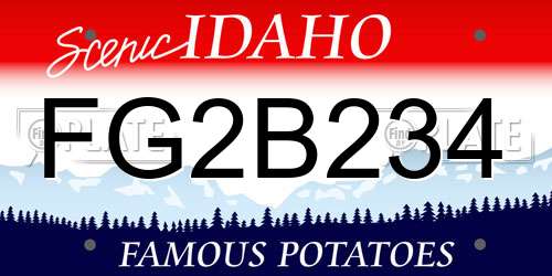 FG2B234 Idaho License Plate