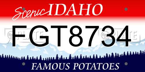 FGT8734 Idaho License Plate