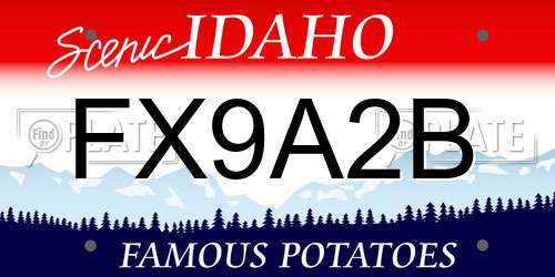 FX9A2B Idaho License Plate