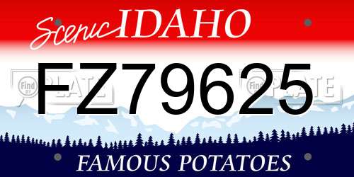 FZ79625 Idaho License Plate