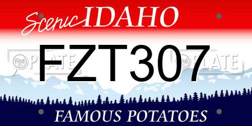 FZT307 Idaho License Plate