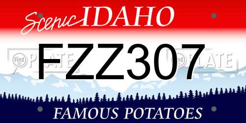 FZZ307 Idaho License Plate