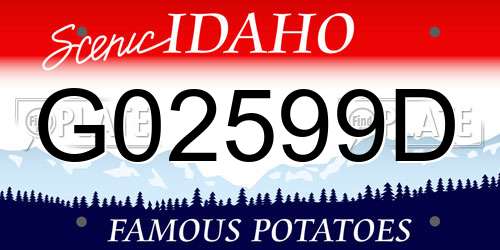 G02599D Idaho License Plate