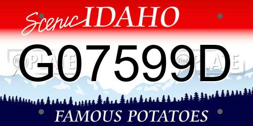 G07599D Idaho License Plate