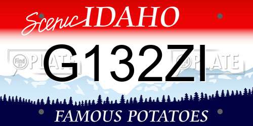 G132ZI Idaho License Plate