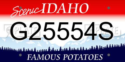 G25554S Idaho License Plate