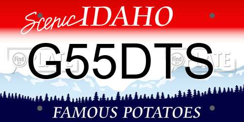 G55DTS Idaho License Plate