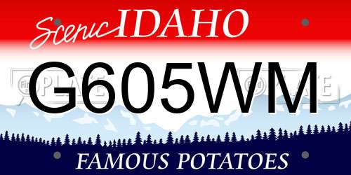 G605WM Idaho License Plate
