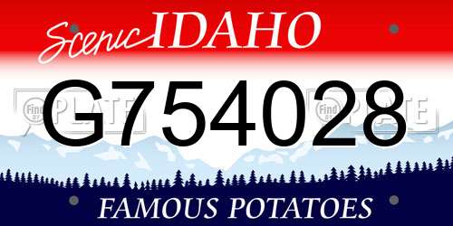 G754028 Idaho License Plate