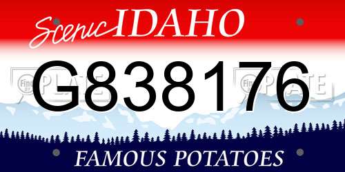 G838176 Idaho License Plate