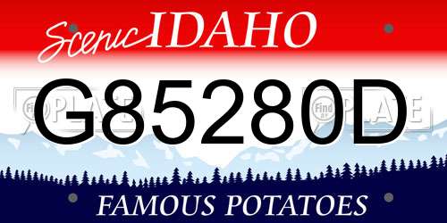 G85280D Idaho License Plate