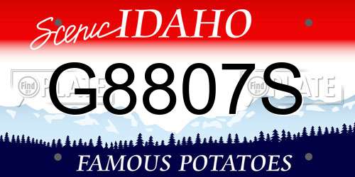 G8807S Idaho License Plate