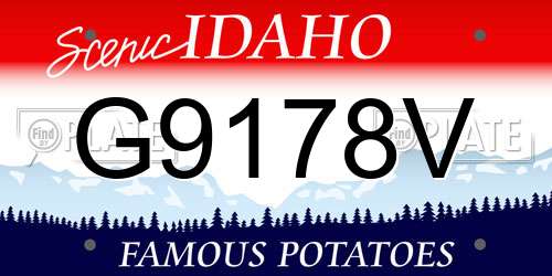 G9178V Idaho License Plate