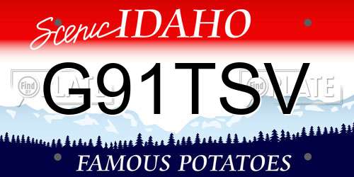 G91TSV Idaho License Plate
