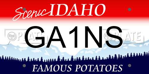 GA1NS Idaho License Plate