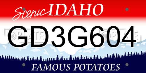 GD3G604 Idaho License Plate