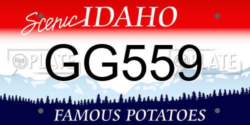 GG559 Idaho License Plate
