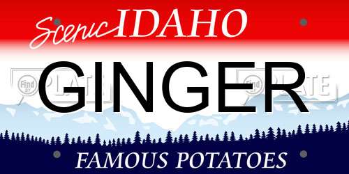 GINGER Idaho License Plate
