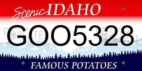 GOO5328 Idaho License Plate