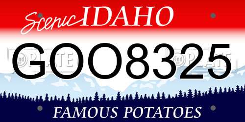 GOO8325 Idaho License Plate