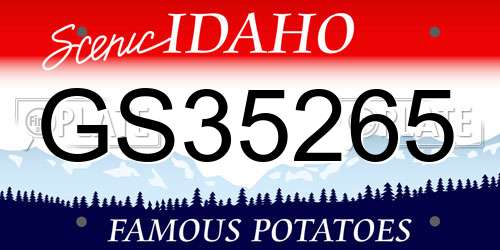 GS35265 Idaho License Plate