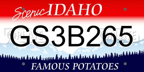 GS3B265 Idaho License Plate