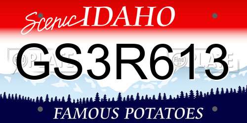 GS3R613 Idaho License Plate