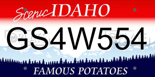 GS4W554 Idaho License Plate