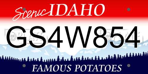 GS4W854 Idaho License Plate