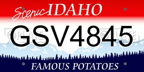 GSV4845 Idaho License Plate